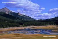 Sunwapta river 36-17-05